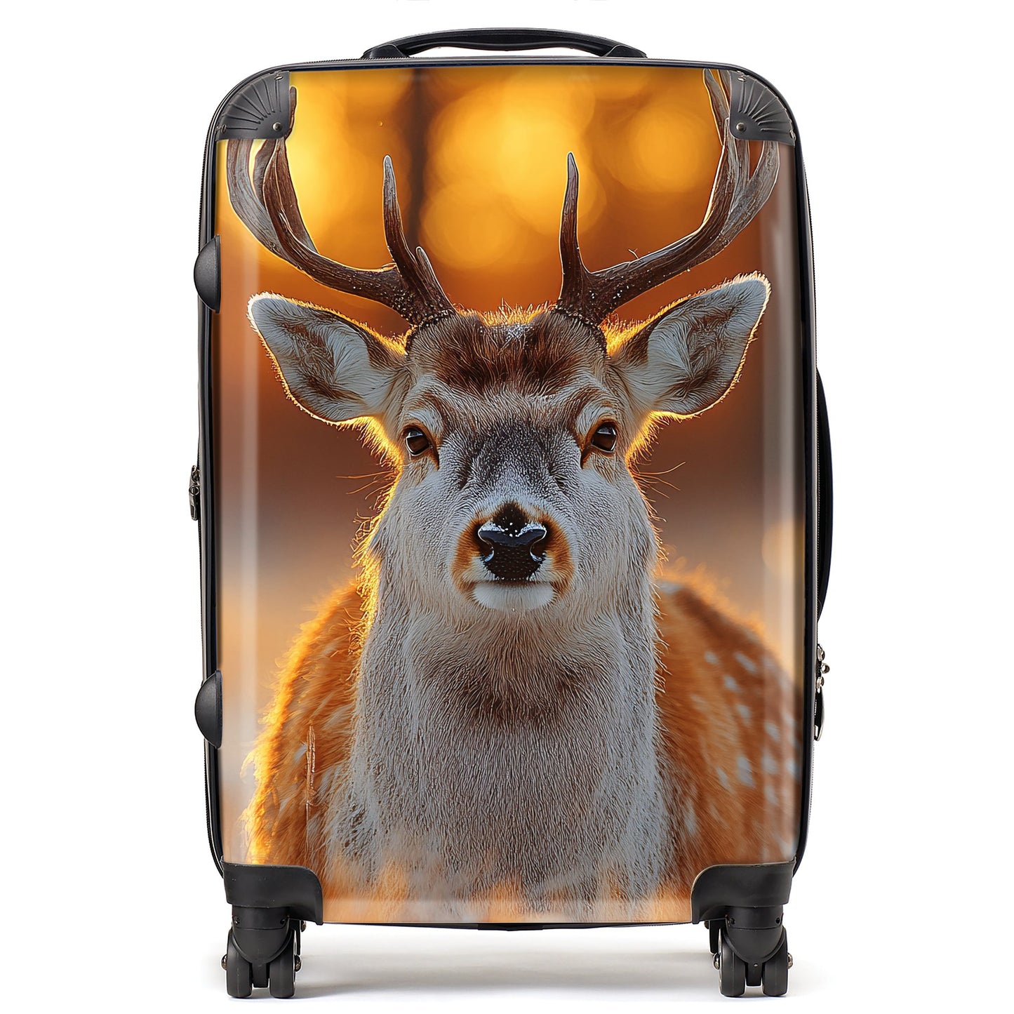 Finn Wilder: 00029 Suitcase