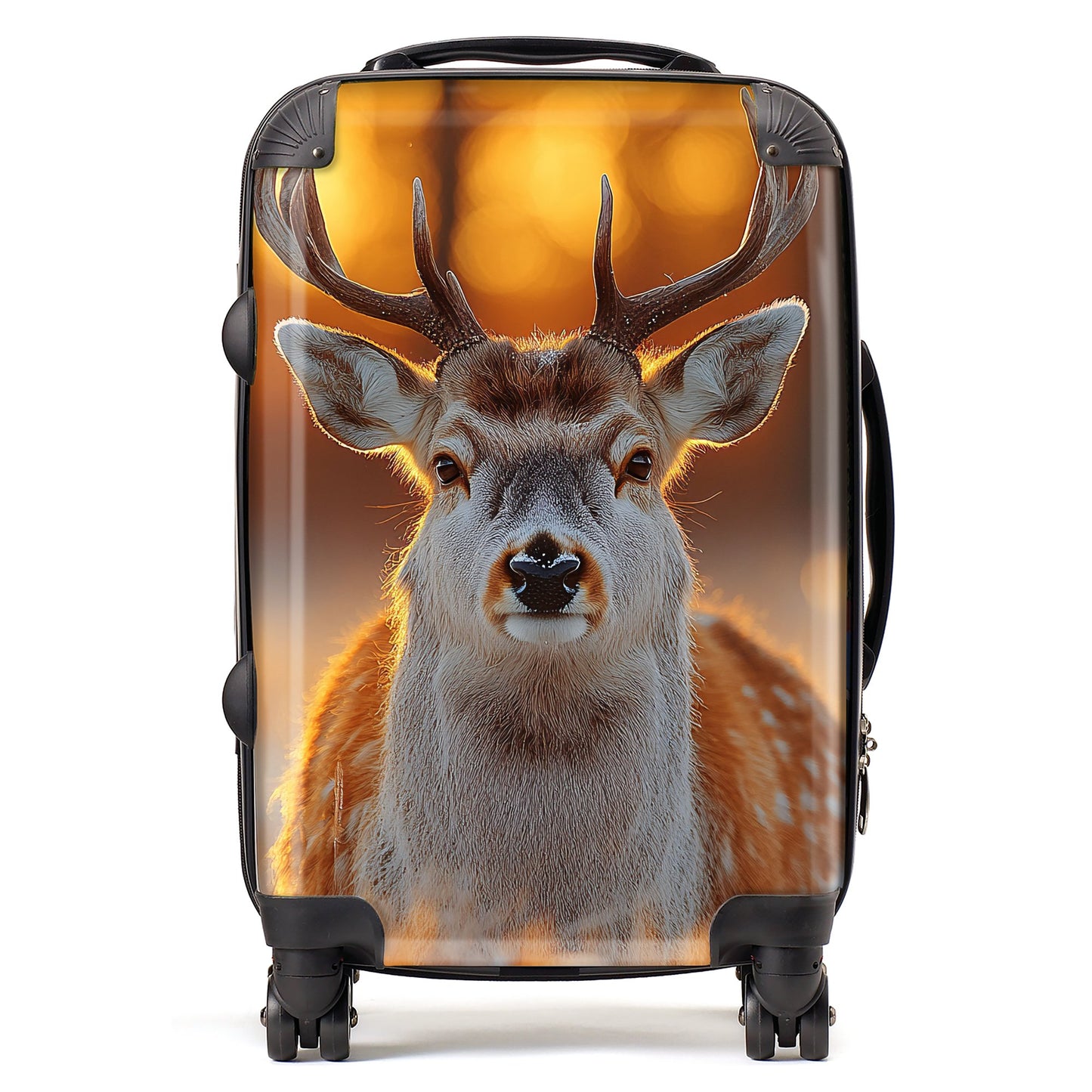 Finn Wilder: 00029 Suitcase
