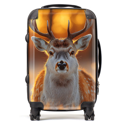 Finn Wilder: 00029 Suitcase