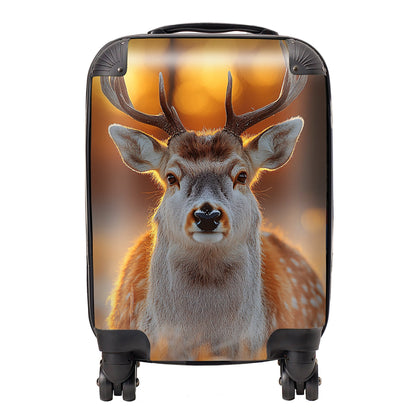 Finn Wilder: 00029 Suitcase
