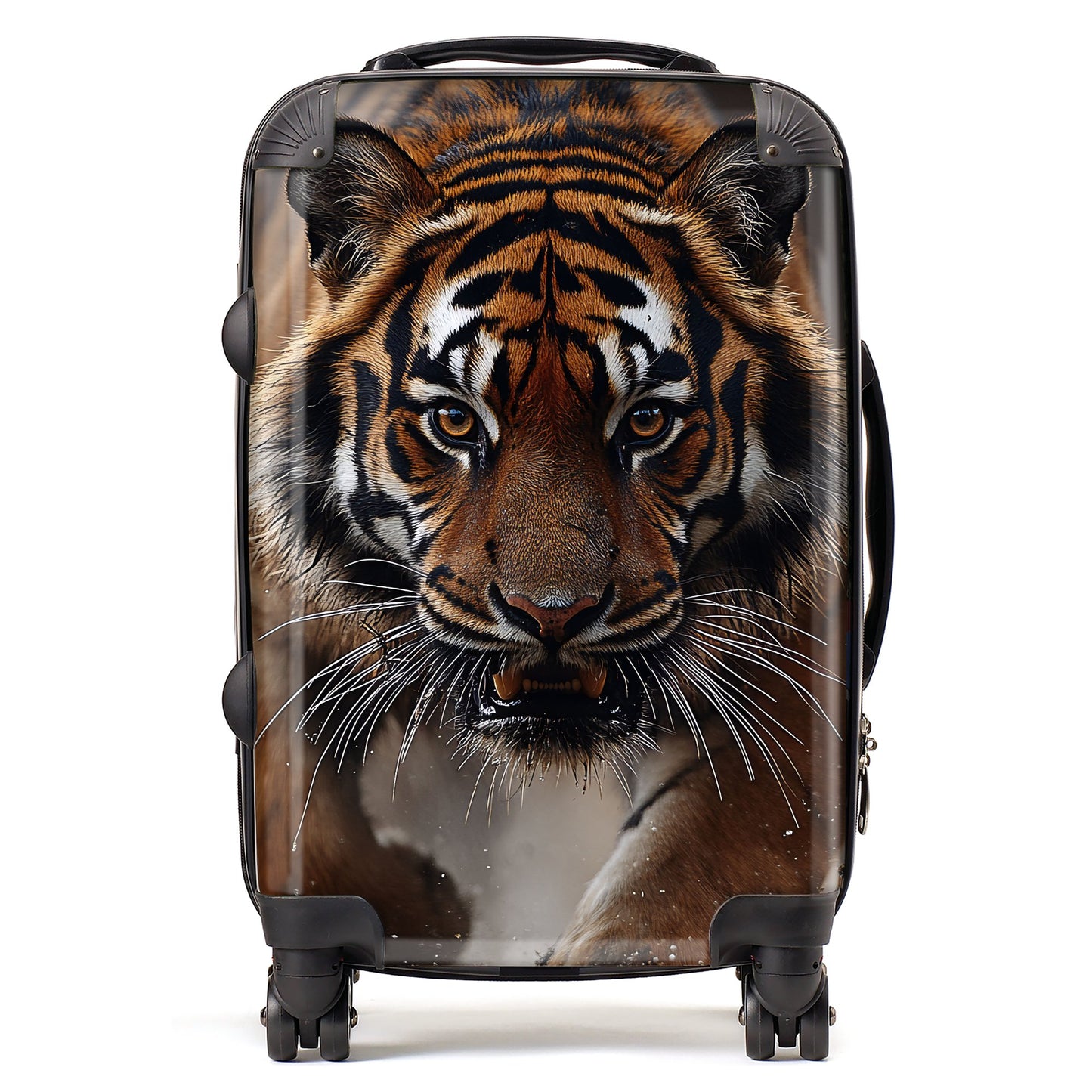 Finn Wilder: 00030 Suitcase