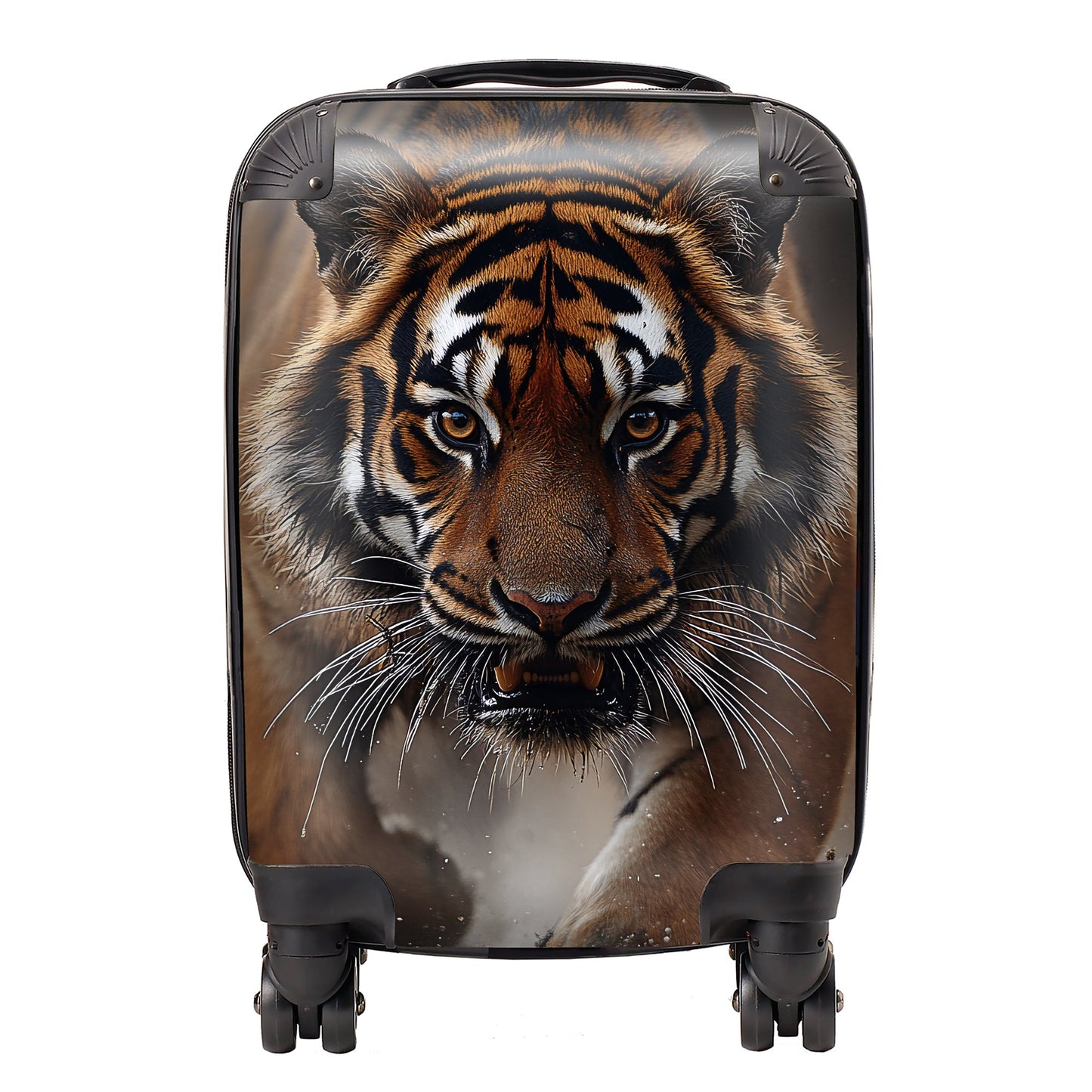 Finn Wilder: 00030 Suitcase