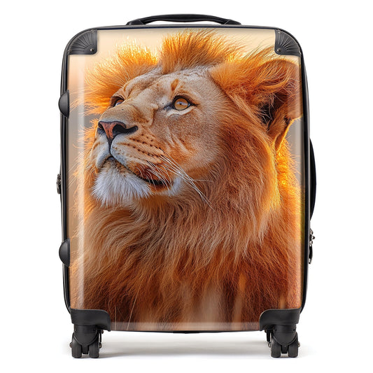Finn Wilder: 00031 Suitcase
