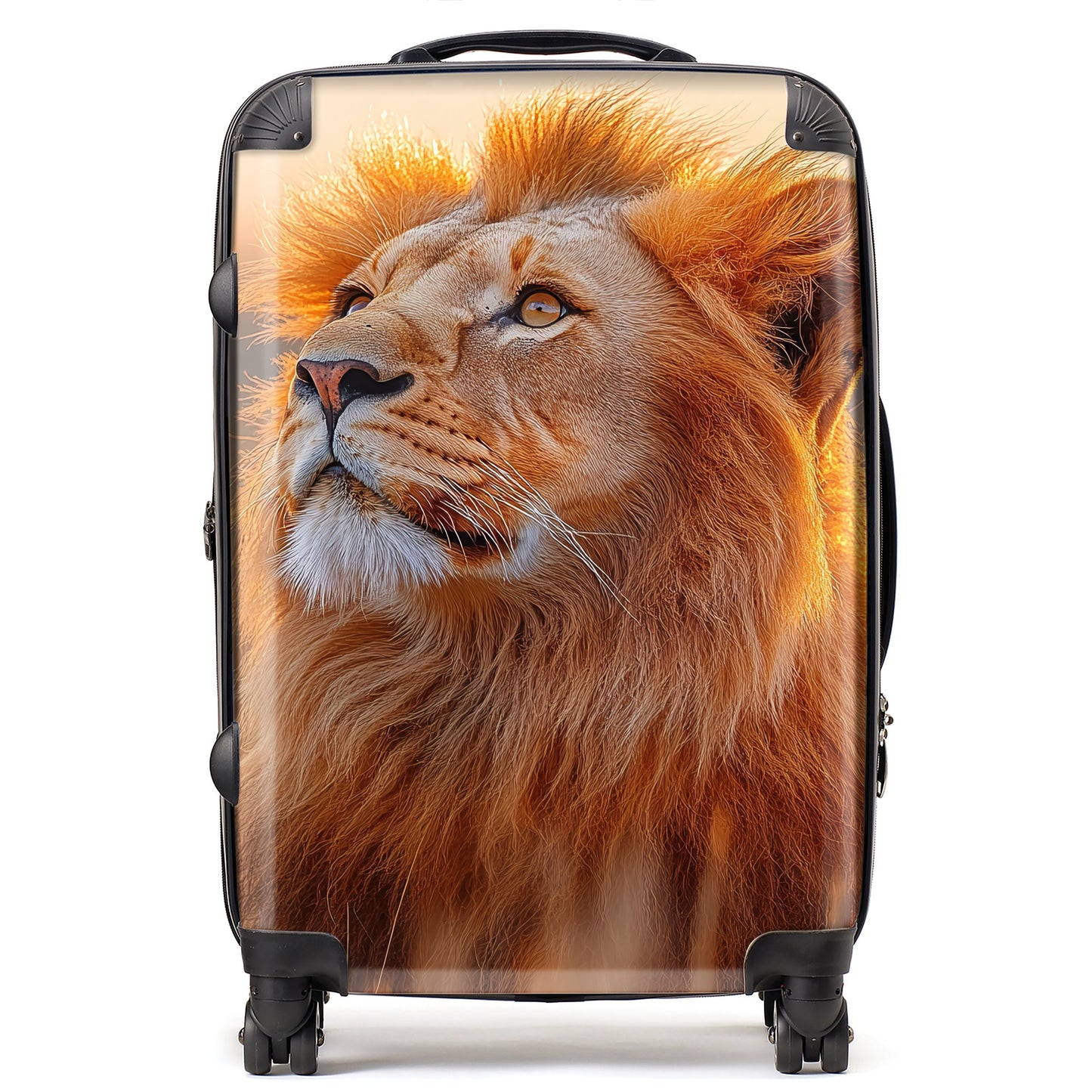 Finn Wilder: 00031 Suitcase