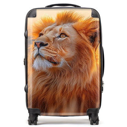 Finn Wilder: 00031 Suitcase