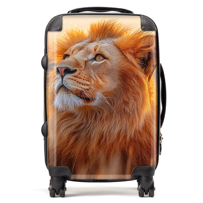 Finn Wilder: 00031 Suitcase