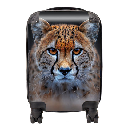 Finn Wilder: 00033 Suitcase