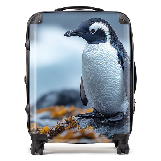 Finn Wilder: 00035 Suitcase