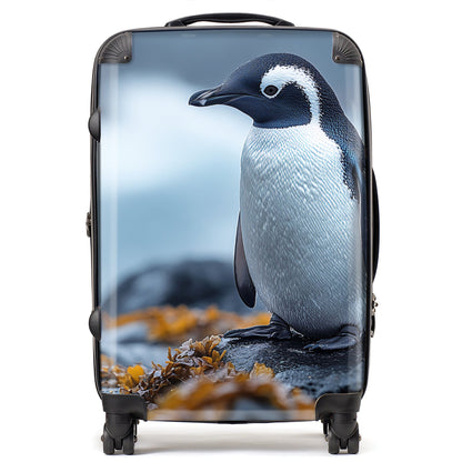 Finn Wilder: 00035 Suitcase