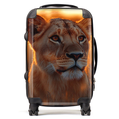 Finn Wilder: 00045 Suitcase