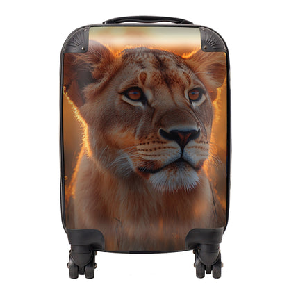 Finn Wilder: 00045 Suitcase