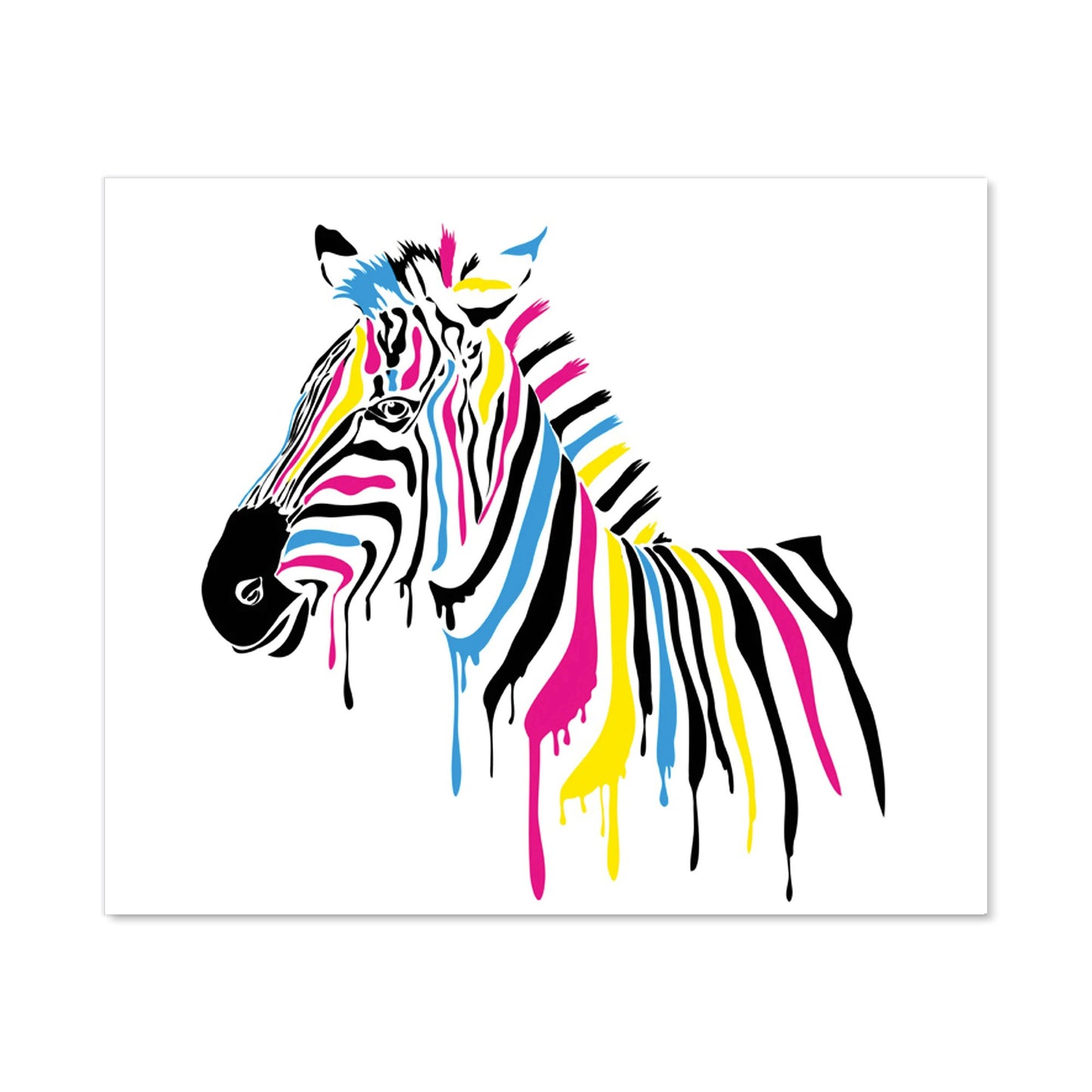 Multi Coloured Zebra Kitchen Splashback