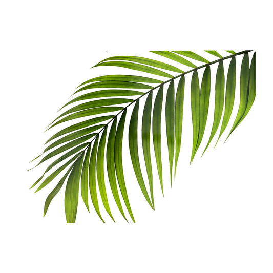 Single Palm Leaf Glass Chopping Board