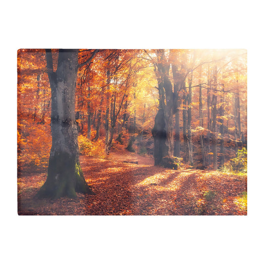 Autumn Forest Glass Chopping Board