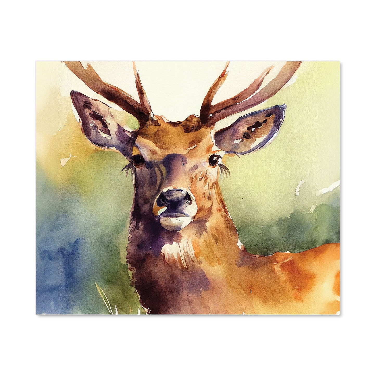 Splendid Stag Watercolour Kitchen Splashback