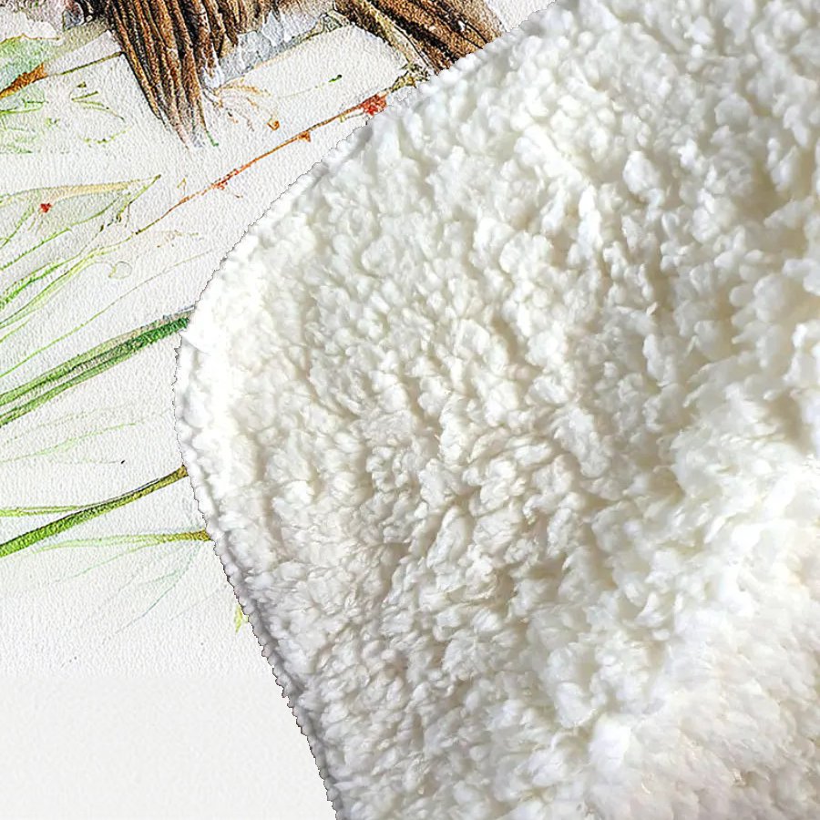 Robin And Daisies Watercolour Sherpa Blanket