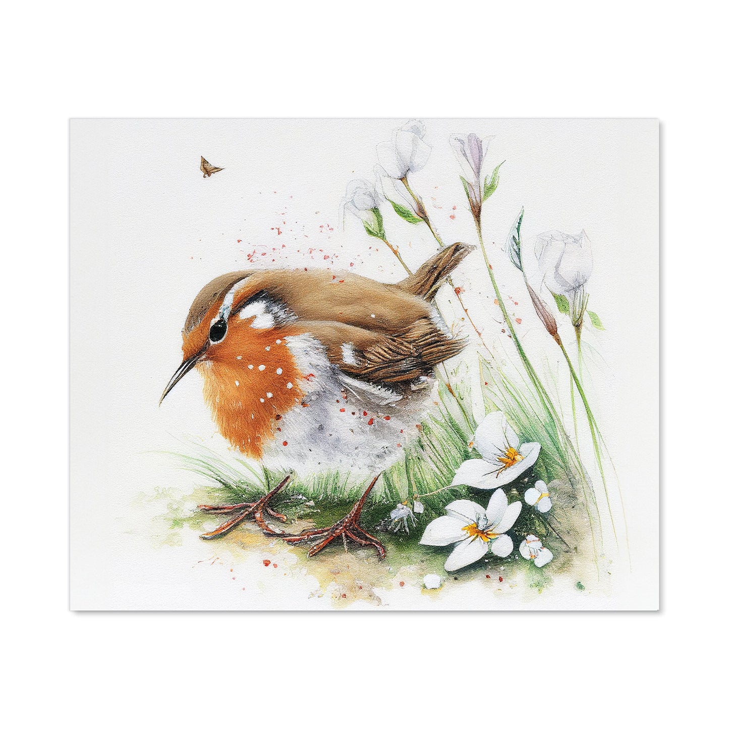 Robin And Daisies Watercolour Kitchen Splashback