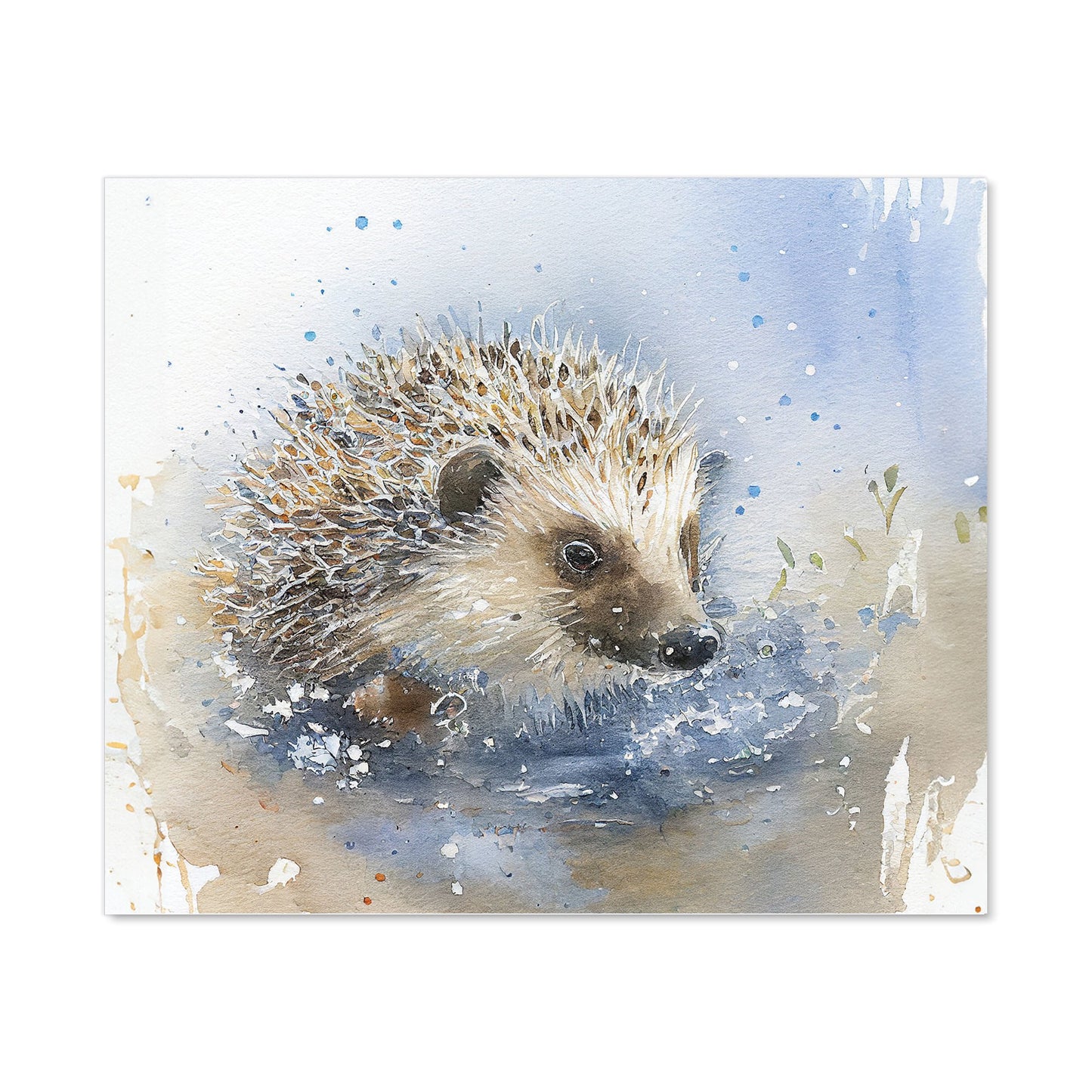 Hedgehog Watercolour Kitchen Splashback