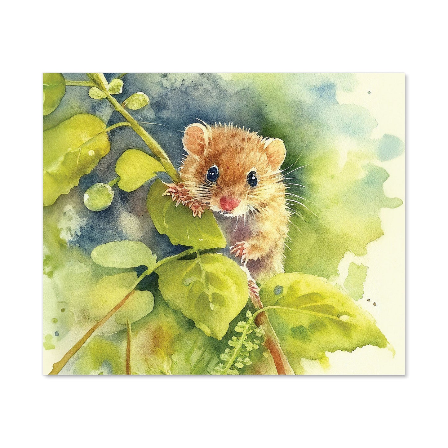 Dormouse Watercolour Kitchen Splashback