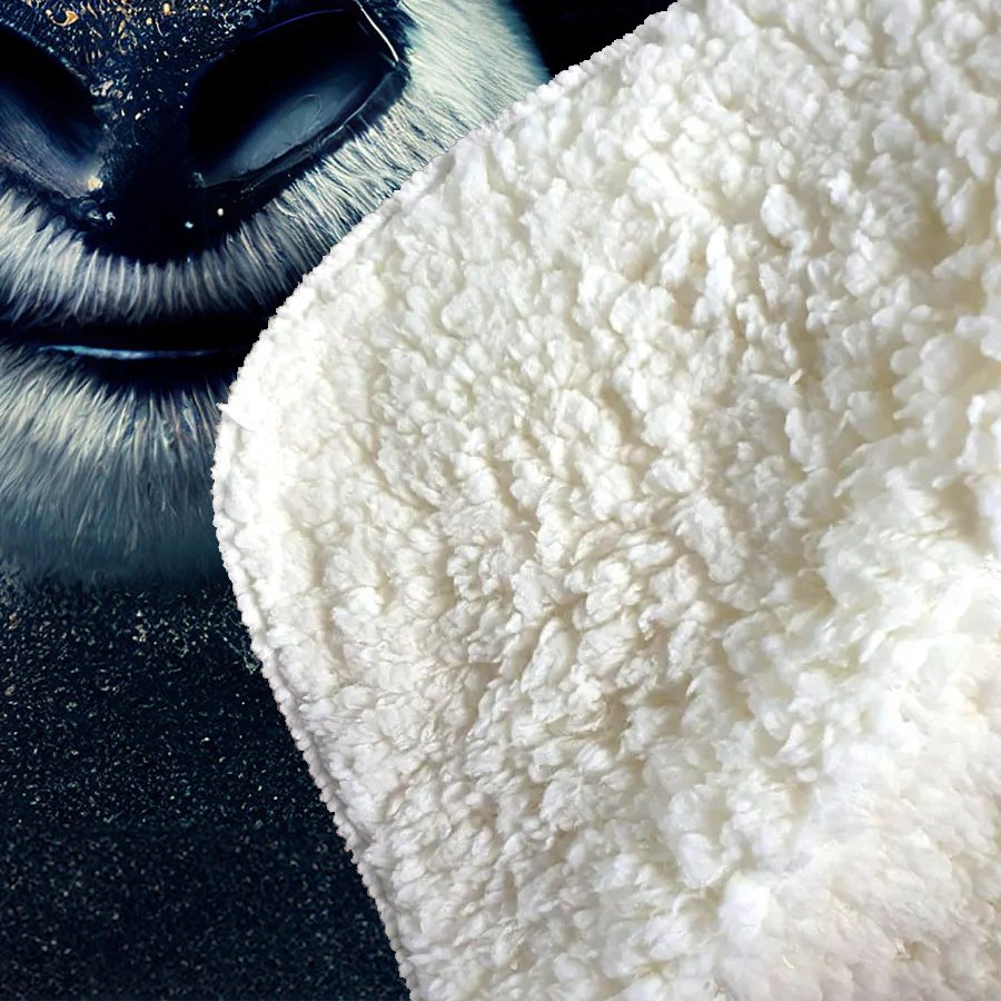 Panda With Golden Glasses Splashart Sherpa Blanket