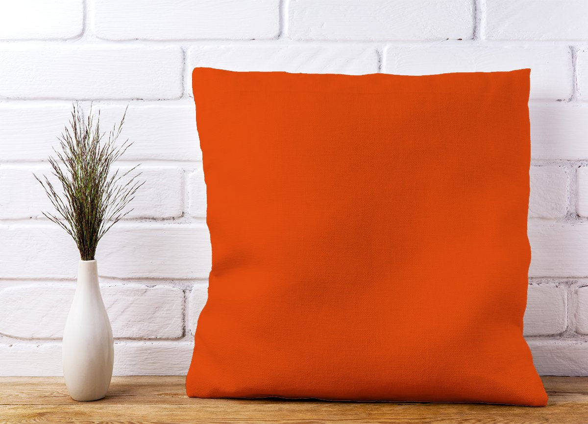 Burnt Orange Cushions
