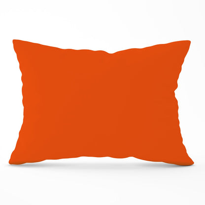 Burnt Orange Cushions