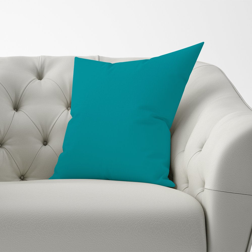Persian Green Cushions