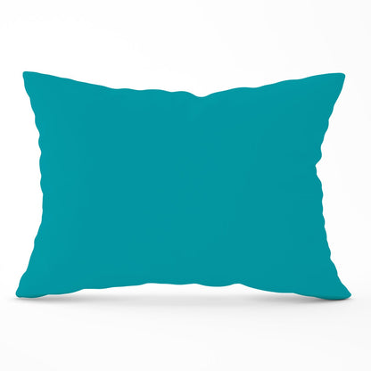 Persian Green Cushions