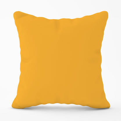 Cantaloupe Orange Cushions