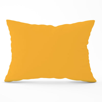 Cantaloupe Orange Cushions