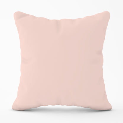 Dusty Pink Cushions