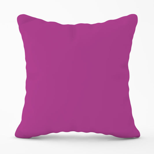 Fuchsia Plum Cushions