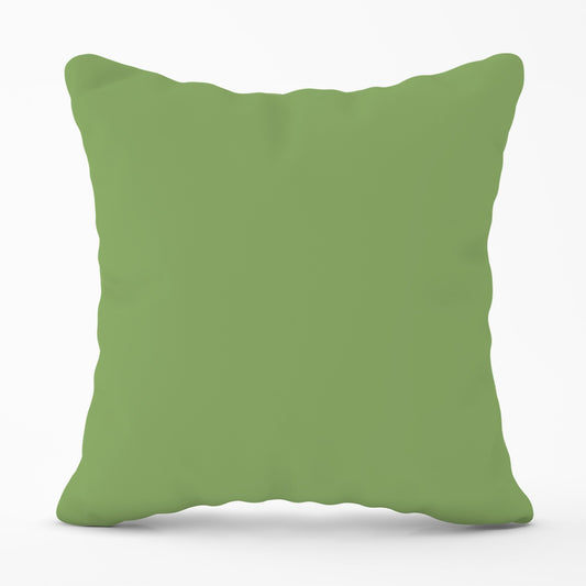 Thyme Green Cushions