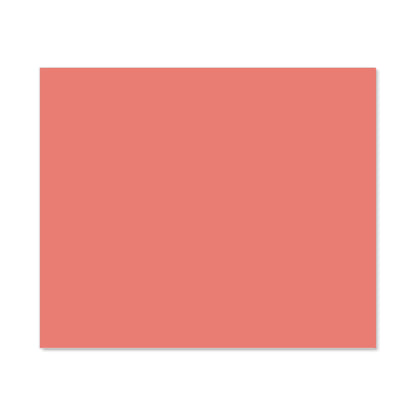 Coral Pink Kitchen Splashback