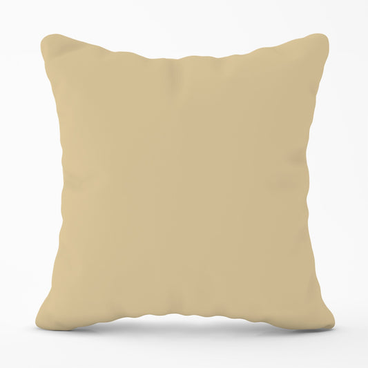 Biscuit Brown Cushions