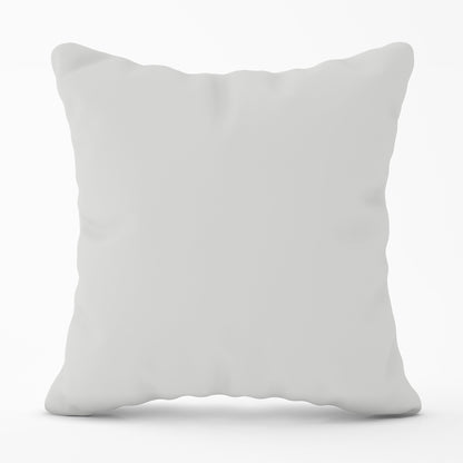 Pastel Grey Cushions