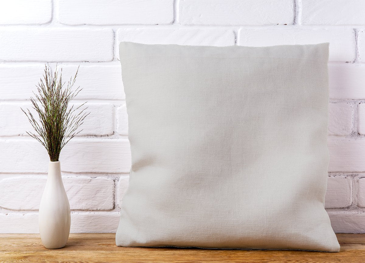Pastel Grey Cushions