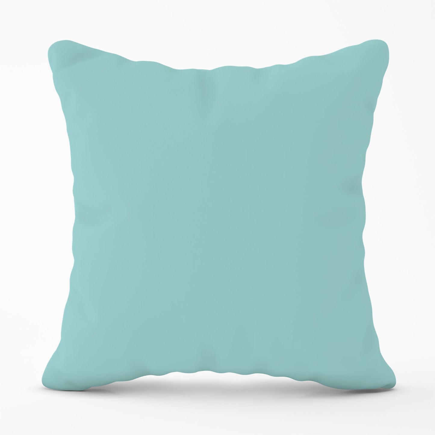 Robin Egg Blue Cushions