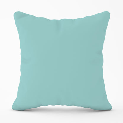 Robin Egg Blue Cushions