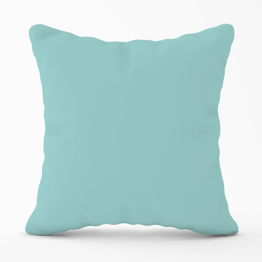 Robin Egg Blue Cushions