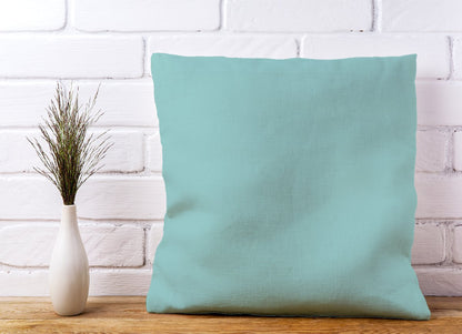 Robin Egg Blue Cushions