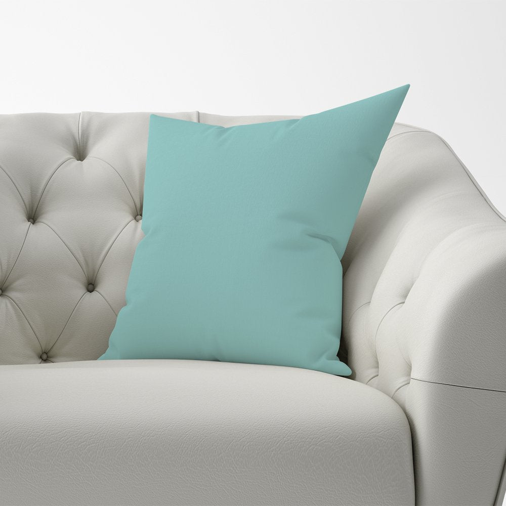 Robin Egg Blue Cushions