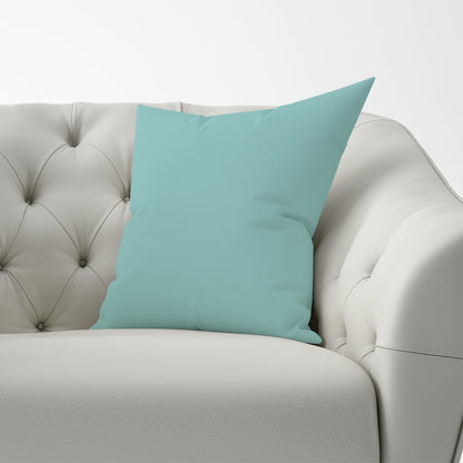 Robin Egg Blue Cushions
