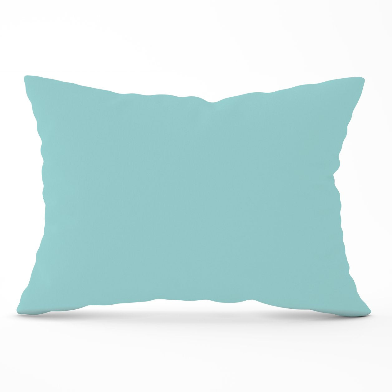 Robin Egg Blue Cushions
