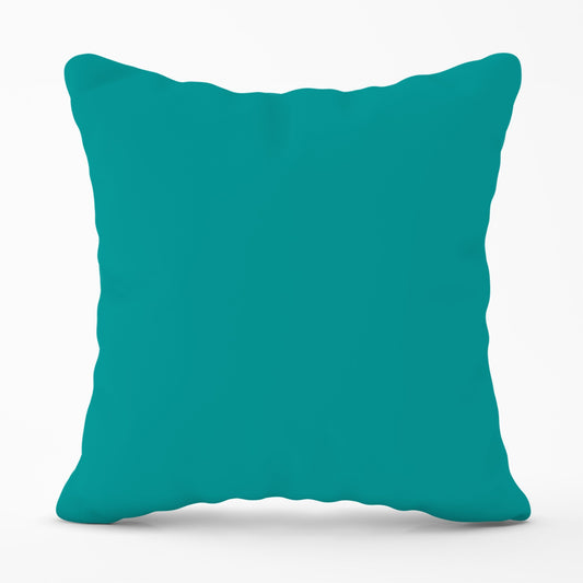 Teal Blue Cushions