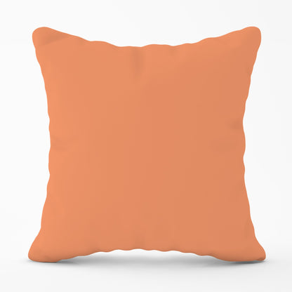 Faded Orange Cushions