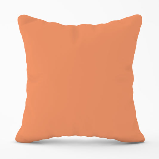 Faded Orange Cushions