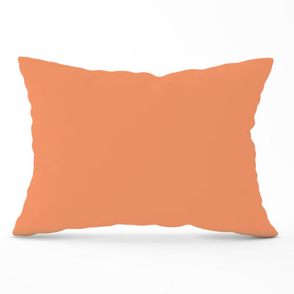 Faded Orange Cushions