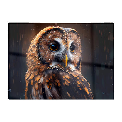 Tawny Owl Face Splashart Dark Background Glass Chopping Board