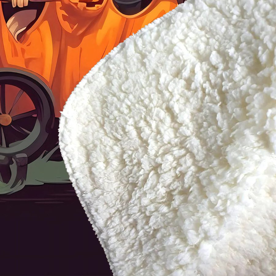 Magical Pumpkin Carriage Sherpa Blanket